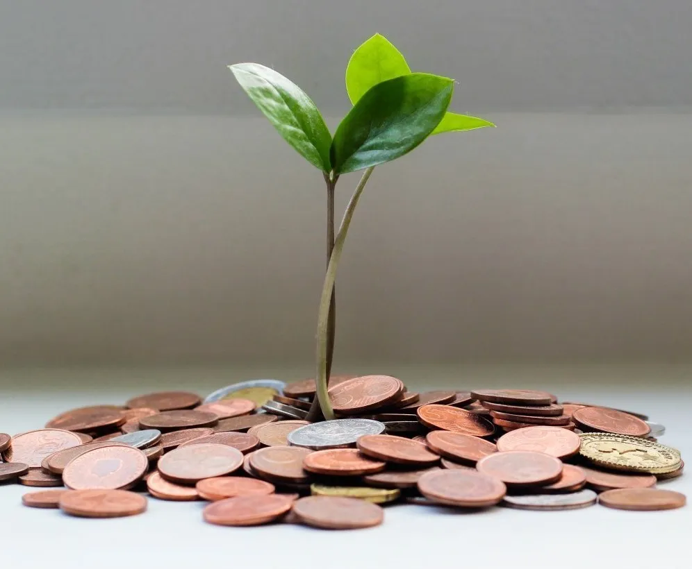 Photo représentant une fleur en train de pousser dans des pièces de monnaie pour représenter la réalisation d'économie